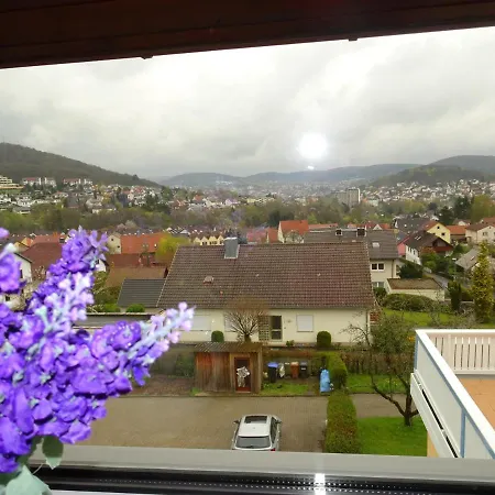 Haus Holzheimer * Bad Kissingen